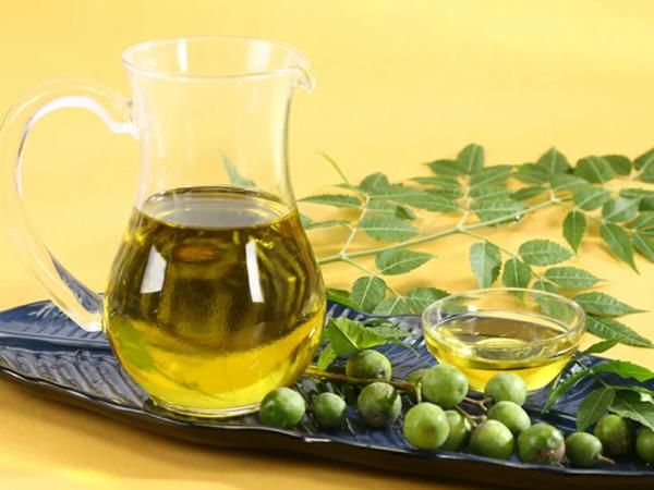 Faire de l'huile de neem Feuilles et fruits de neem