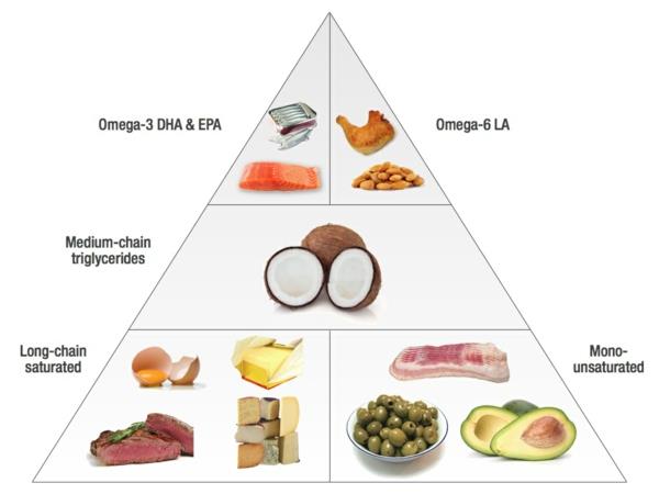 Les acides gras oméga 3 Les acides gras oméga 6 mangent des aliments sains