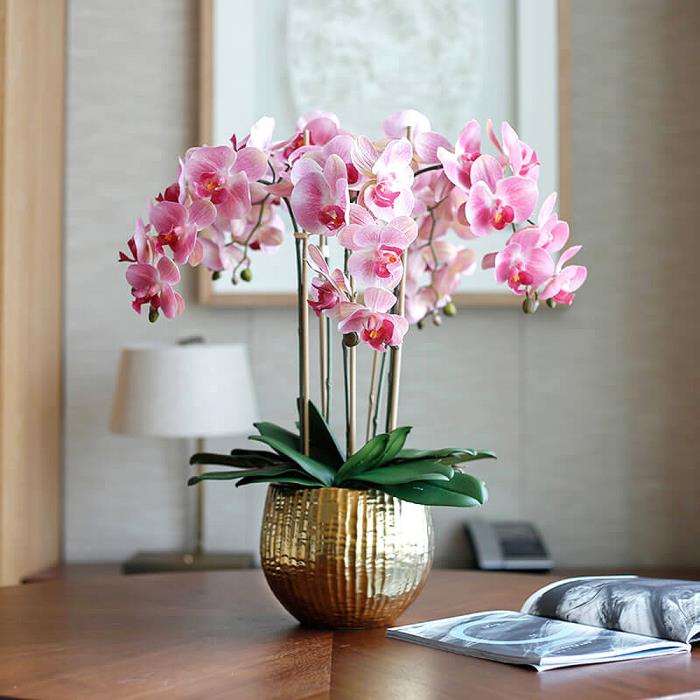Dbanie o storczyki prawidłowo wieloletnie piękne różowe kwiaty dekoracja stołu złota doniczka
