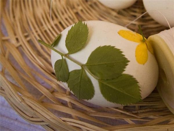 Oeufs de peinture de Pâques motif fleurs plantes colorées
