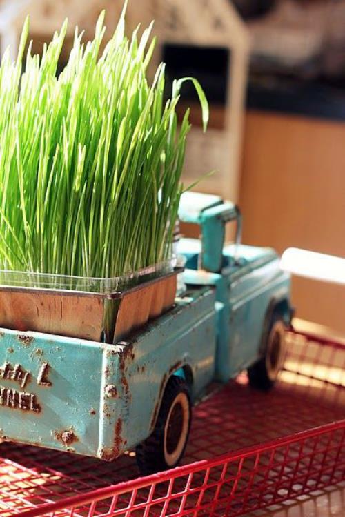 Semer vous-même de l'herbe de Pâques, la vieille tradition se perpétue dans un bocal en verre sur une voiture pour enfants