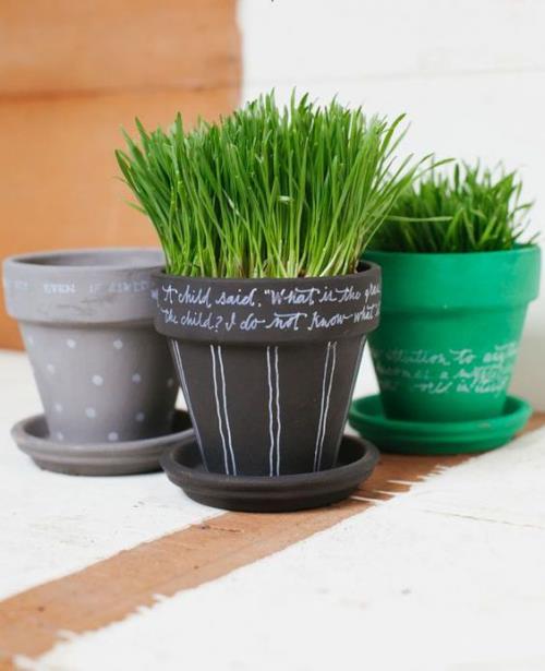 Semez vous-même l'herbe de Pâques ici dans des pots étiquetés symbole d'un nouvel espoir de vie