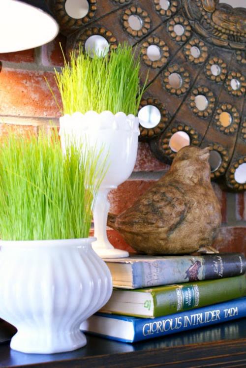 Semez vous-même de l'herbe de Pâques dans deux récipients en céramique blanche, de belles décorations de chambre
