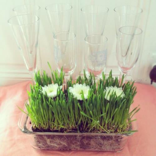 Semez vous-même de l'herbe de Pâques dans un bocal en verre décoré de fleurs blanches et posé sur la table