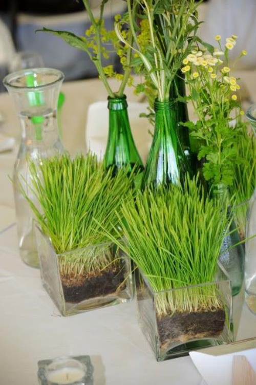 Semez de l'herbe de Pâques vous-même, préparez magnifiquement le terrain pour les décorations de table pour Pâques