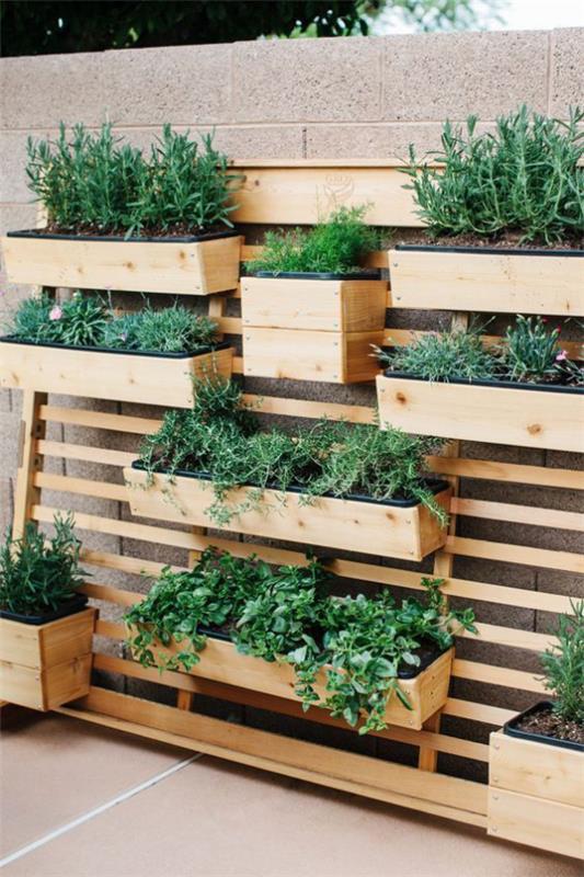 Extérieur - Tendances 2020 Mur végétal, mur en bois, caisses en bois plantées de diverses plantes vertes, belle vue