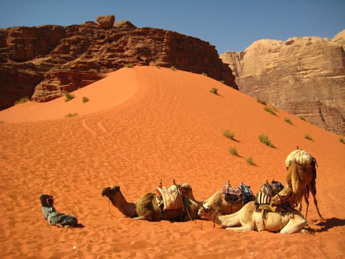 Petra Jordanie Capitale Jordanie La Mer Morte Plage Wadi Rum Ocre