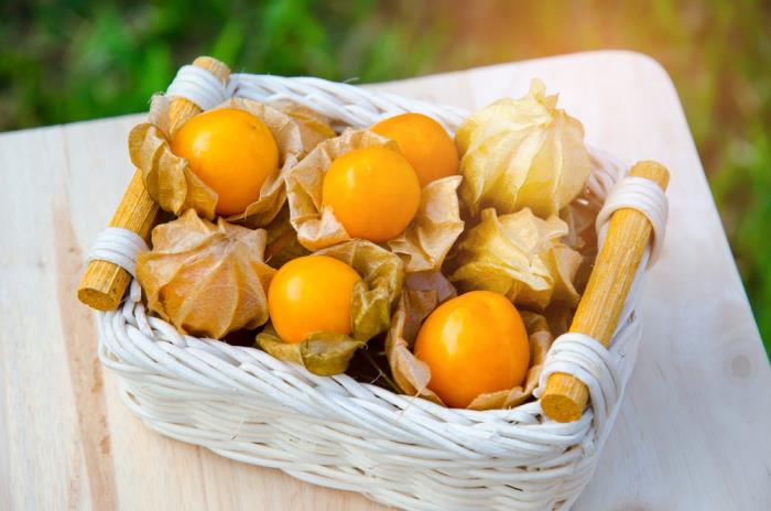 Fruit exotique Physalis également connu sous le nom de lanterne chinoise en raison de la forme de la coquille