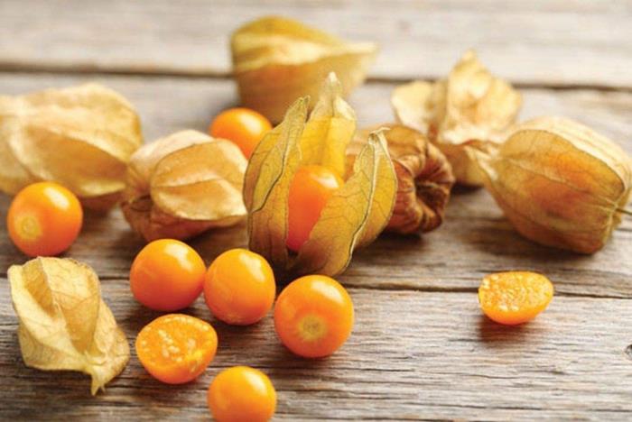 Physalis fruits exotiques petits fruits oranges en coques fines