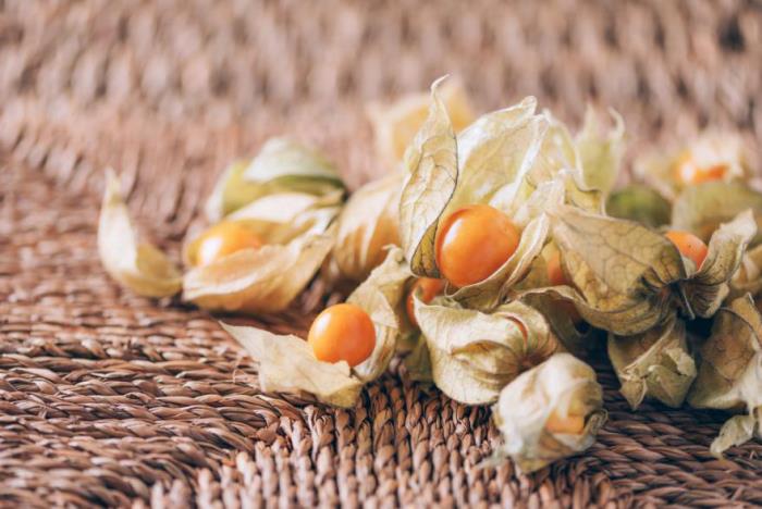 Physalis fruits exotiques petits fruits oranges