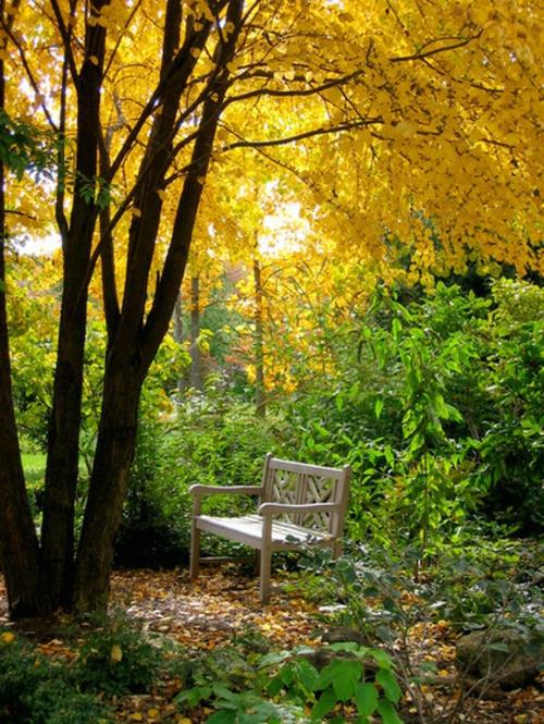 Wspaniały projekt ogrodu ławka z trawy żółte liście jesienią