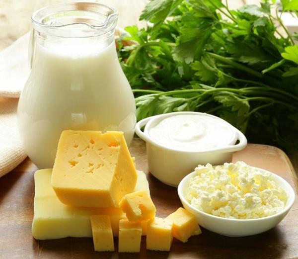 Aliments probiotiques, fromages affinés, flore intestinale saine