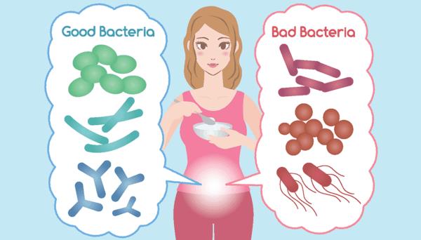 Aliments probiotiques flore intestinale saine