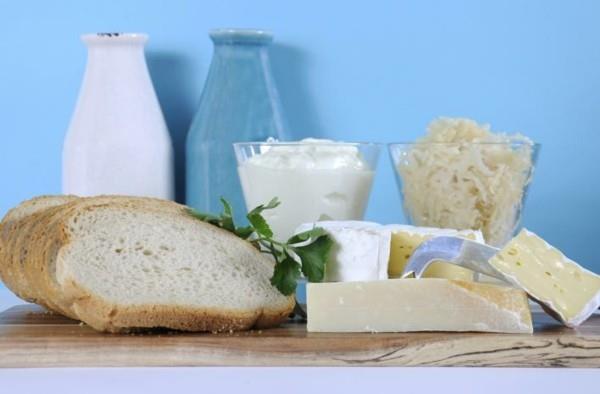 Aliments probiotiques alimentation saine produits laitiers