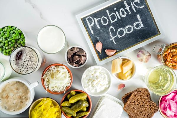 aliments probiotiques