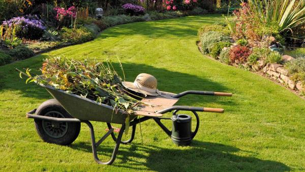 Outils et idées pour la fertilisation de la pelouse