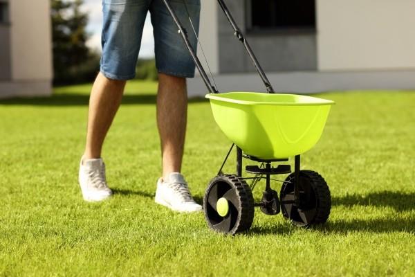 Fertiliser la pelouse comme passe-temps de loisir