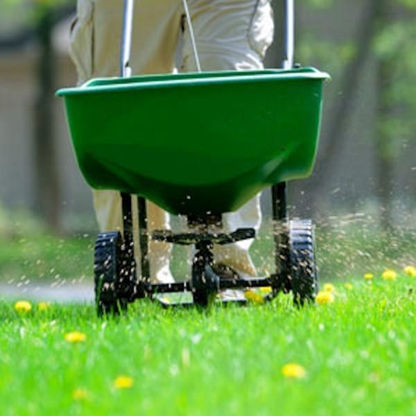 Fertiliser la pelouse - merveilleuse voiture