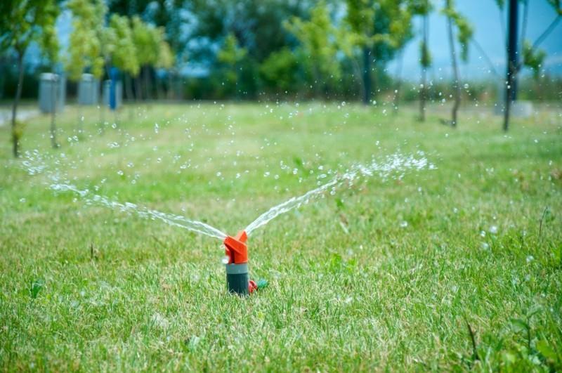 Pielęgnacja trawnika, pomysły na projektowanie ogrodów przydomowych, nawożenie i podlewanie trawnika