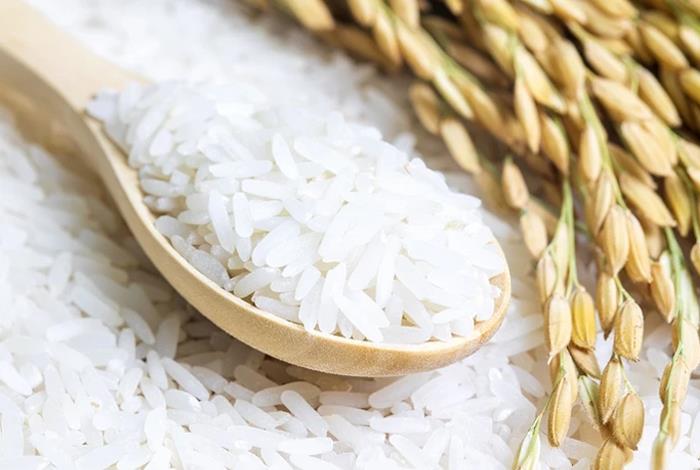 Régime de riz de nombreux types de riz différents, de forme et de couleur différentes