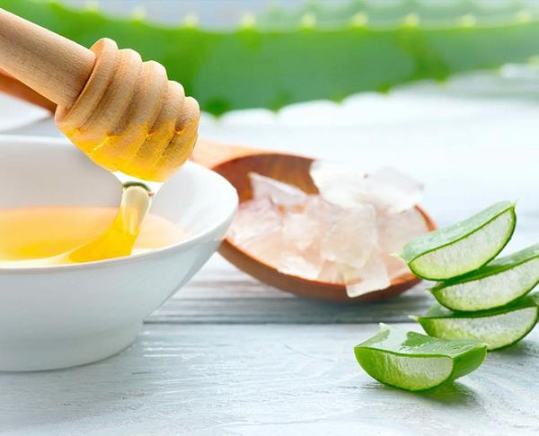 Recettes pour un masque pour les pieds maison Faites votre propre peeling des pieds à l'aloe vera