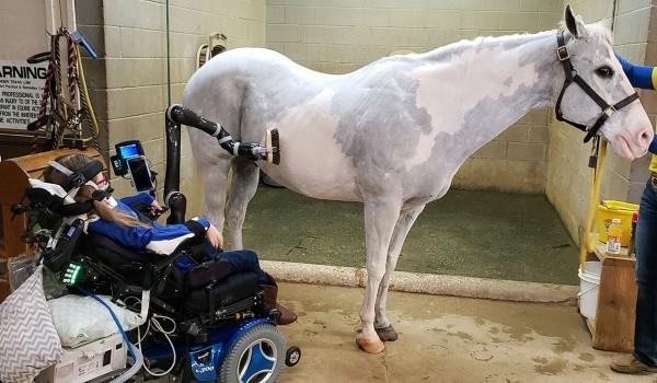 Ramię robota Jaco może pomóc osobom na wózkach inwalidzkich w codziennych czynnościach w opiece nad koniem z ramieniem