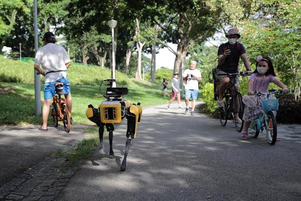 Pies-robot Spot z Boston Dynamics prezentuje swoje nowe umiejętności w parku w Singapurze
