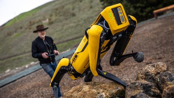 Pies-robot Spot z Boston Dynamics prezentuje swoje nowe umiejętności spot wspina się po wysokich górach