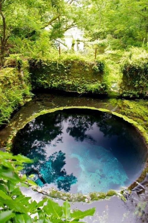 Okrągłe baseny ogrodowe okrągła niecka wbudowana w ziemię jako oczko wodne, dookoła bujna zieleń