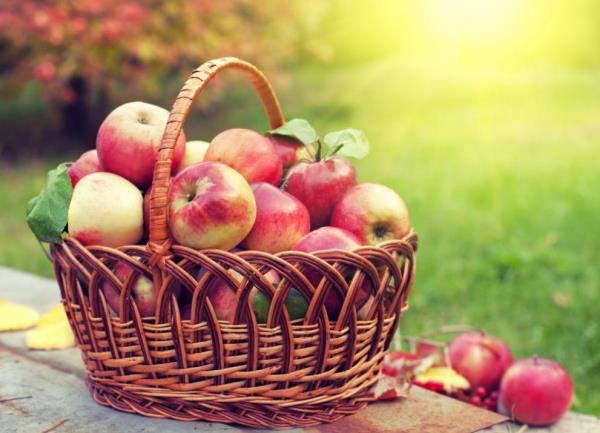Wiklinowy kosz pełen czerwonych jabłek to zdrowy sposób na zaspokojenie apetytu na jedzenie