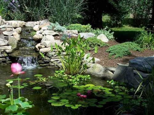 Beau jardin élégamment aménagé aménagement d'eau