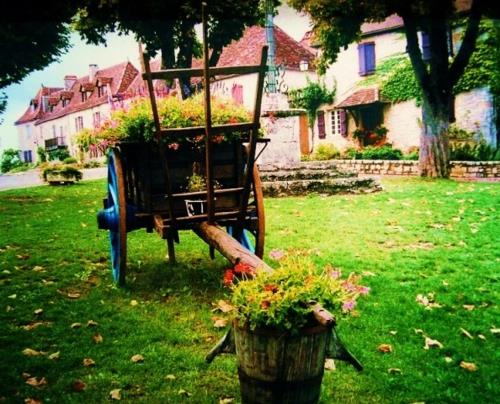 mon jardin chariot élégamment arrangé roues en bois