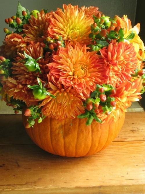 Joli arrangement tout en pot de fleur de citrouille dahlia orange
