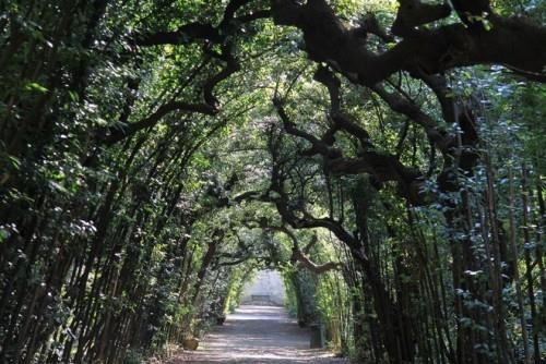 Les plus beaux endroits pour pique-niquer en pleine nature Jardins de Boboli Florence