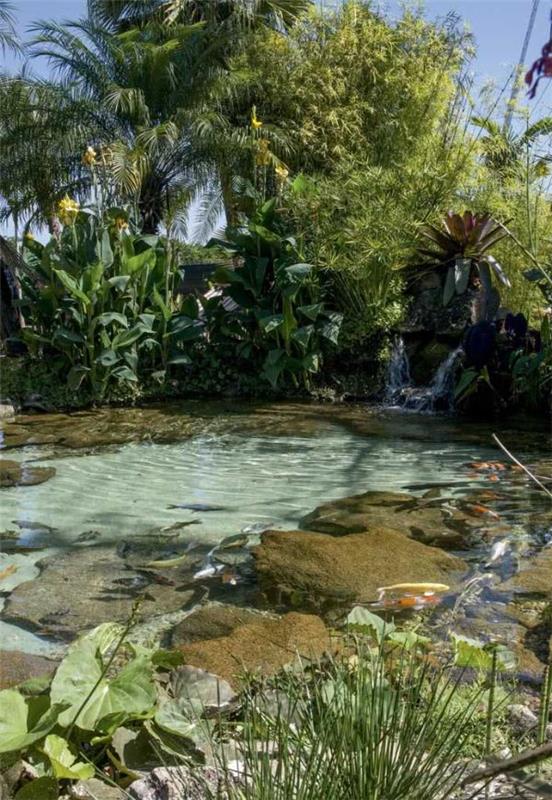 Piscines naturelles de style de vie de lac