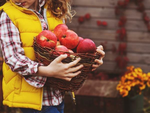 Voici comment traverser l'automne des pommes, des fruits et des légumes sains