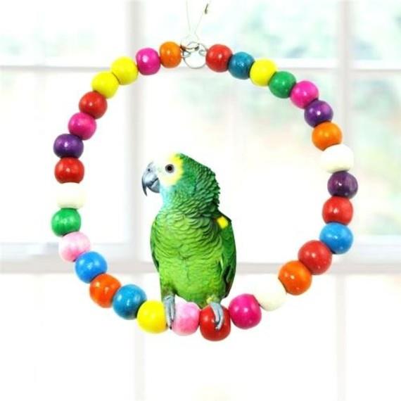 Zabawki dla papużek falistych tworzą zabawki i akcesoria dla ptaków
