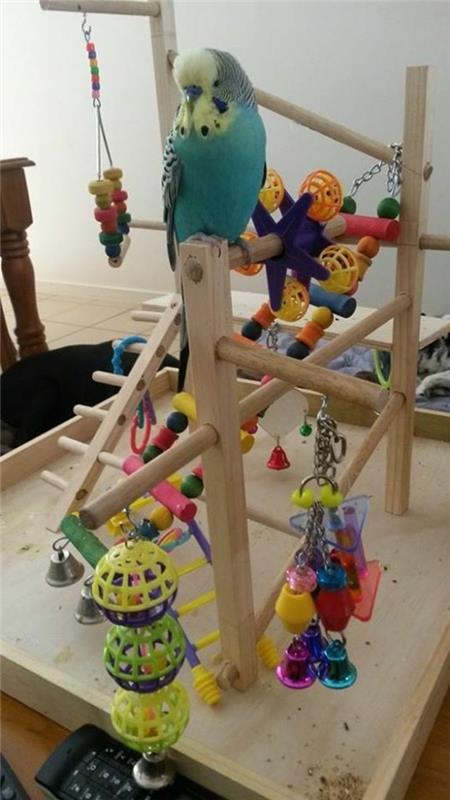 Zabawki dla papużek falistych majsterkować budgie plac zabaw