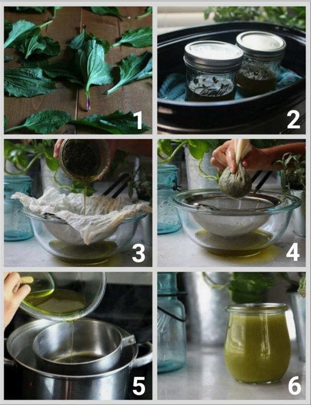 Instructions pas à pas pour la pommade à la plantain, le thé ou le sirop contre la toux