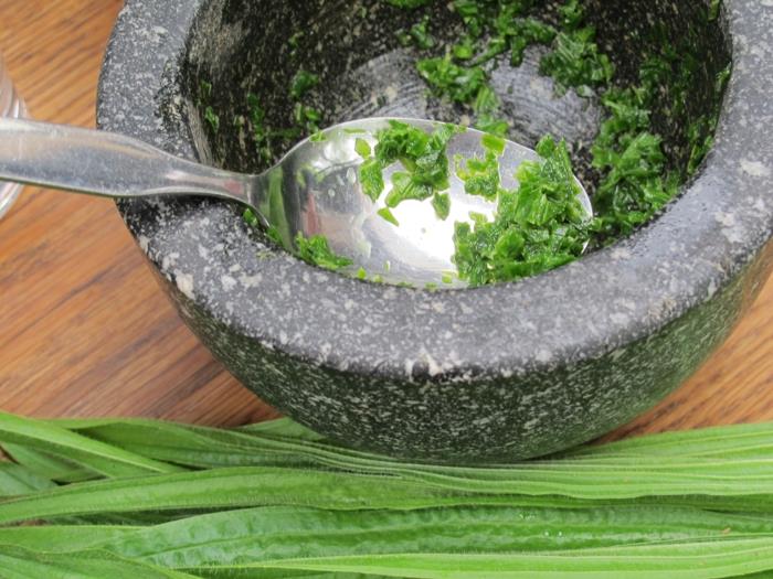 Préparation d'onguent de thé de plantain de plantain ou de sirop contre la toux fait à la main