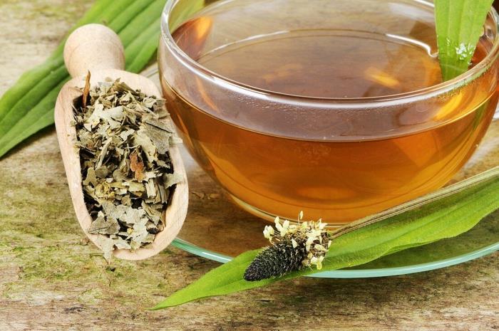 Préparation de pommade au thé au plantain ou au sirop contre la toux