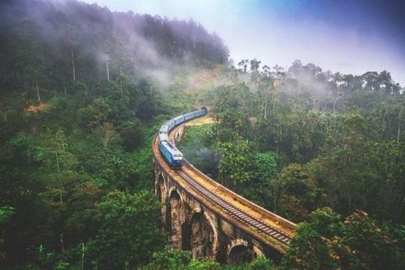 Conseils de voyage au Sri Lanka balade en train nature verte