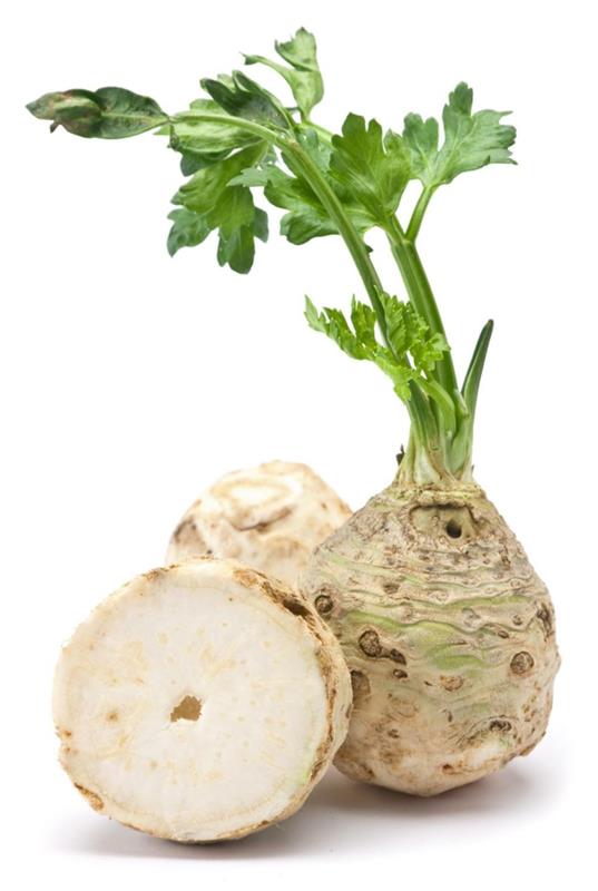 Recettes de céleri