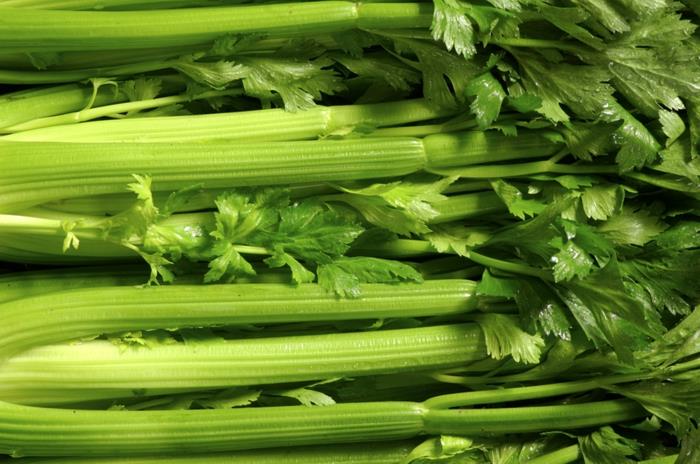 Préparer la feuille de branche de céleri