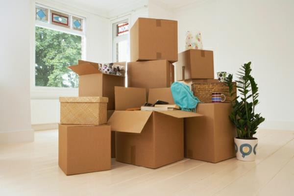 Conseils de déménagement carton frais entreprise de déménagement