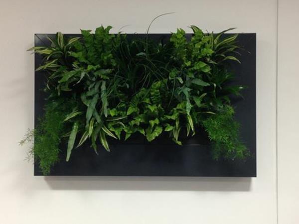 Dekoracja ścienna z roślinami ramka na zdjęcia obraz na żywo