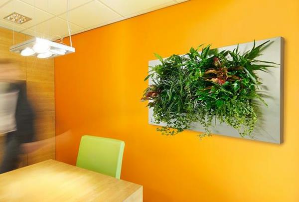 pomarańczowa dekoracja ścienna w kolorze ścian z roślinami