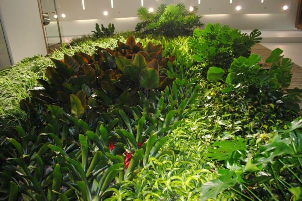 Dekoracja ścienna zielone myślenie o soczystych pomysłach na rośliny