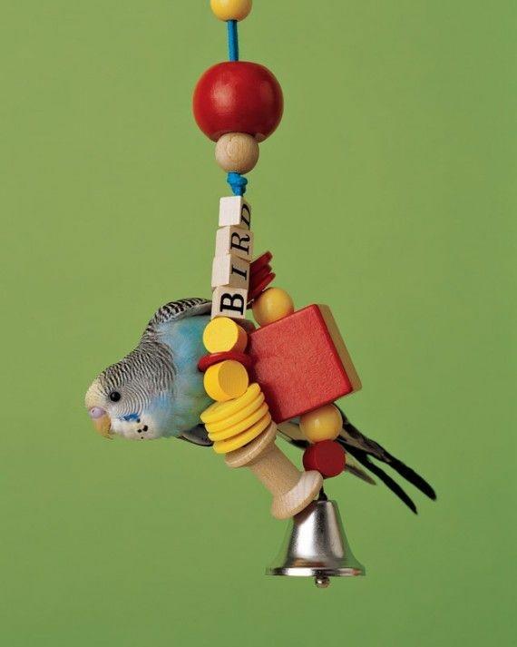 Zbuduj samodzielnie zabawki dla papużek falistych