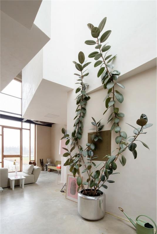 Idées de décoration pour la maison plante en pot plantes d'intérieur faciles d'entretien